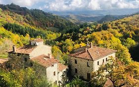 Bio Agriturismo Il Vigno